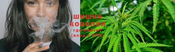 крисы Абдулино