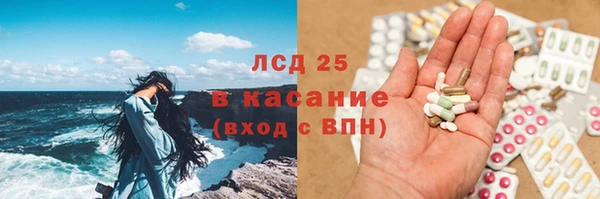 ПСИЛОЦИБИНОВЫЕ ГРИБЫ Алексин