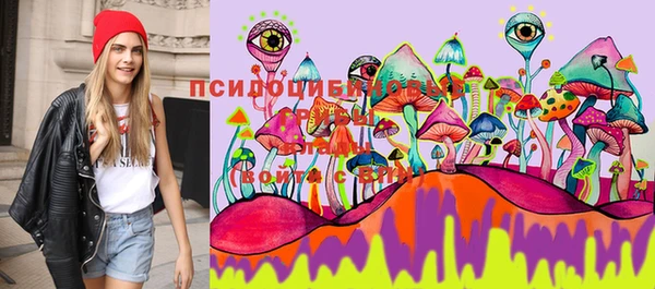ПСИЛОЦИБИНОВЫЕ ГРИБЫ Алексин