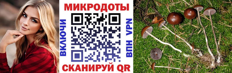 Псилоцибиновые грибы Magic Shrooms  Шадринск 